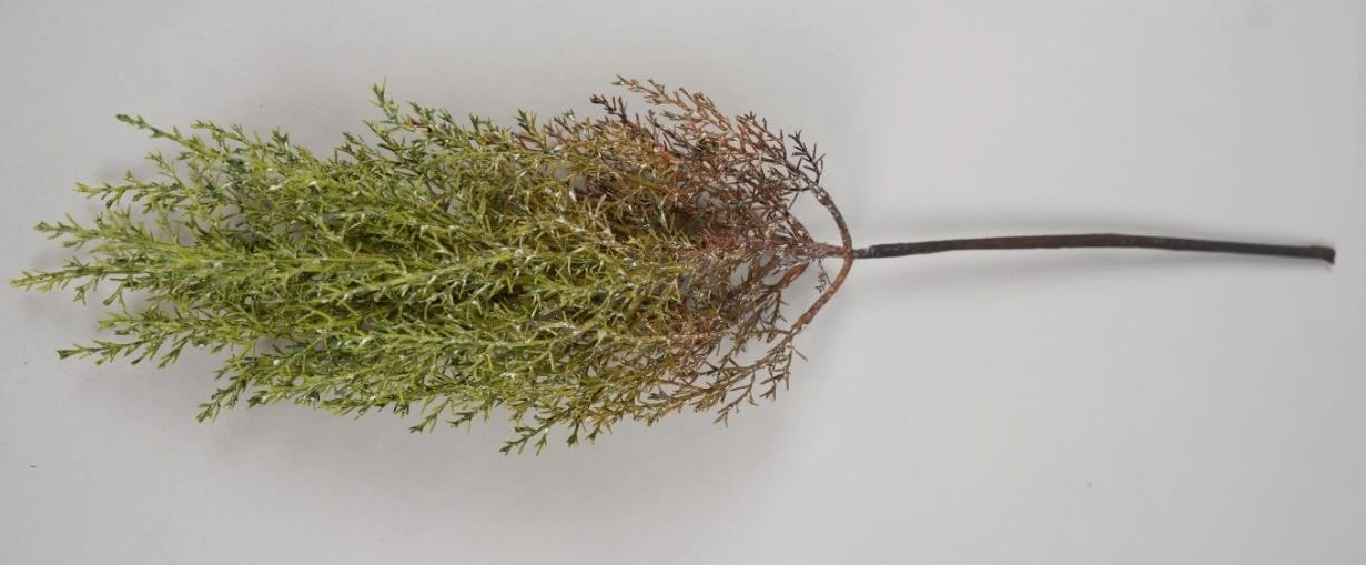 Cut Leaf Natural Design Stick